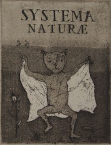 Hyrske Hannu "Systema naturae" etsaus/akvatinta 9 x 7 cm 120 €tai 10 €/kk