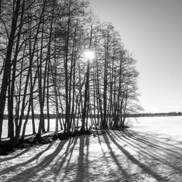 Partanen Jukka: Varjoniemi, monivalotusvalokuva