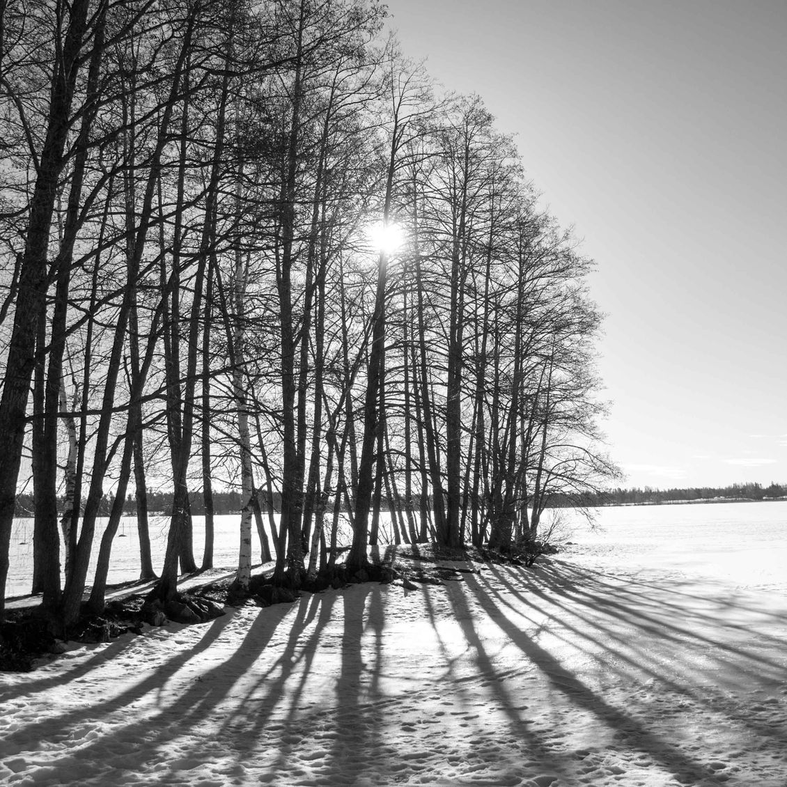 Partanen Jukka: Varjoniemi, monivalotusvalokuva