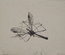 Hyrske Hannu "Vaaksiainen" etsaus 6,5 x 7 cm 100 € tai 10 €/kk