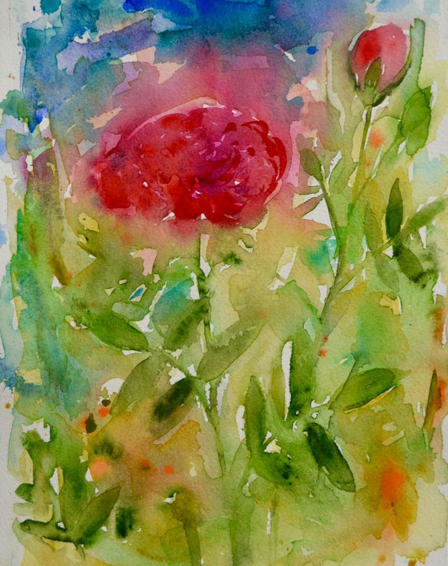 Järnström Jari "Ruusuja" akvarelli 42.5 x 32.5 cm 250 € tai 20 €/kk